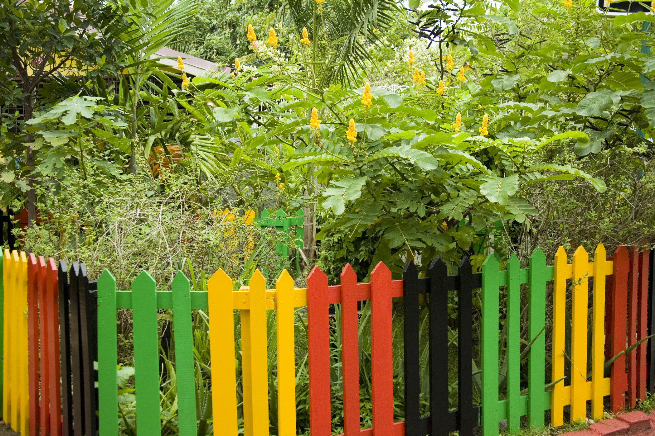 JamXTravel has the best travel experiences in Jamaica